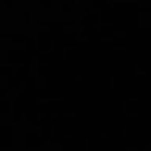 Meet your Posher, Alison